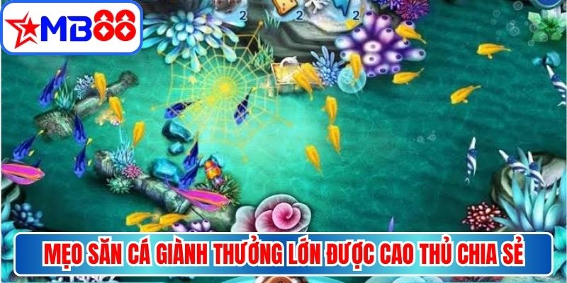 Mẹo săn cá giành nhiều thưởng lớn được cao thủ chia sẻ